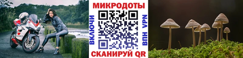 дарк нет телеграм  Переславль-Залесский  Псилоцибиновые грибы MAGIC MUSHROOMS 